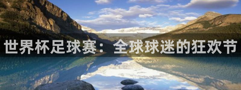 世界杯足球赛：全球球迷的狂欢节