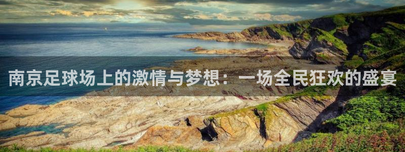  南京足球场上的激情与梦想：一场全民狂欢的盛宴