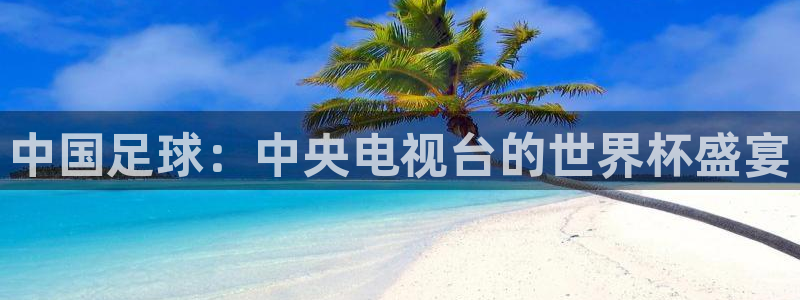 中国足球：中央电视台的世界杯盛宴