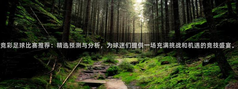 竞彩足球比赛推荐：精选预测与分析，为