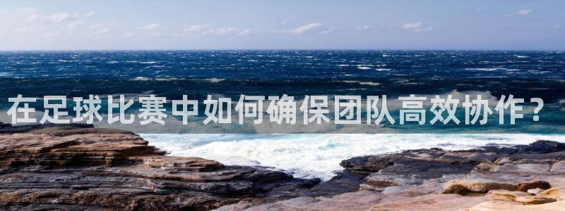 在足球比赛中如何确保团队高效协作？