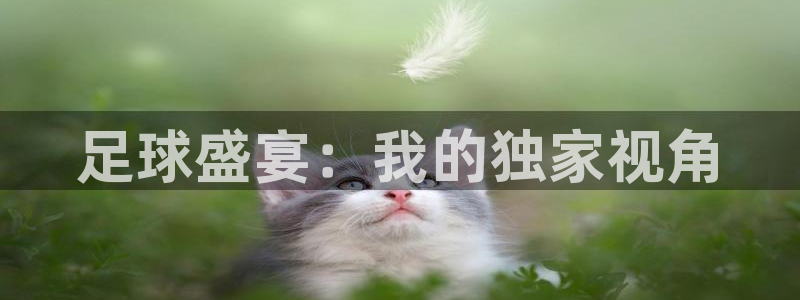 足球盛宴：我的独家视角