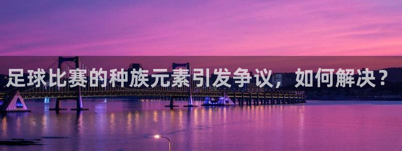 足球比赛的种族元素引发争议，如何解决？