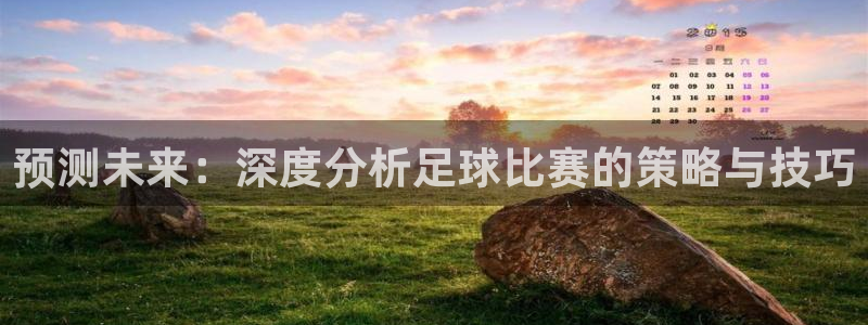  预测未来：深度分析足球比赛的策略与技巧