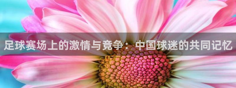  足球赛场上的激情与竞争：中国球迷的共同记忆