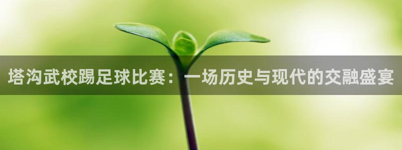塔沟武校踢足球比赛：一场历史与现代的交融盛宴