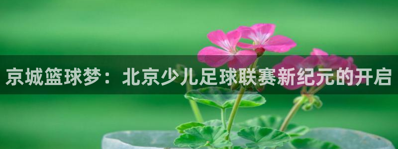 京城篮球梦：北京少儿足球联赛新纪元的开启
