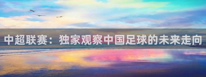 中超联赛：独家观察中国足球的未来走向