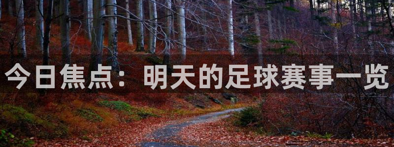  今日焦点：明天的足球赛事一览