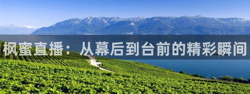 nba直播免费观看直播在线高清小九直播：枫蜜直播：从幕后到台前的精彩瞬间