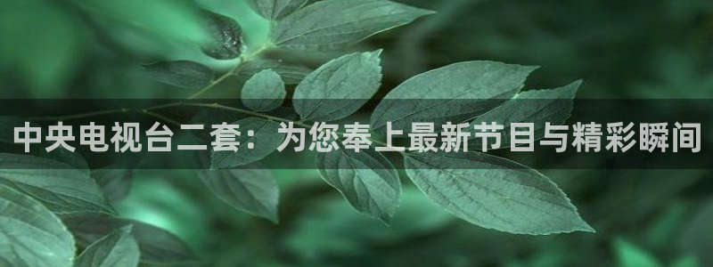 小九足球免费直播高清观看：中央电视台二套：为您奉上最新节目与精彩瞬间