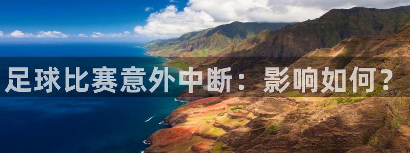 足球比赛意外中断：影响如何？