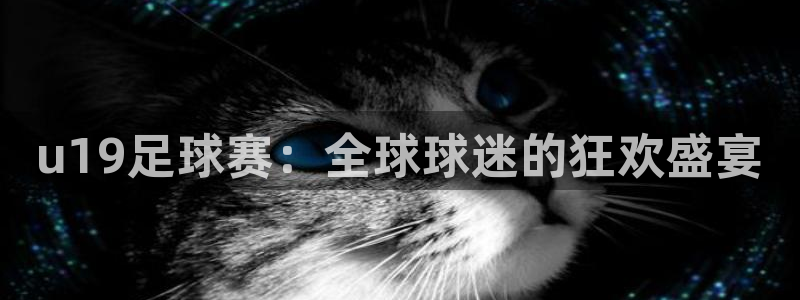 u19足球赛：全球球迷的狂欢盛宴