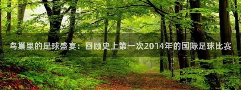 鸟巢里的足球盛宴：回顾史上第一次20