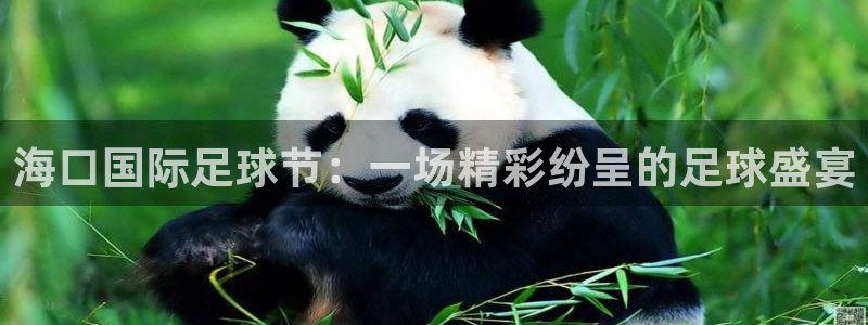  海口国际足球节：一场精彩纷呈的足球盛宴