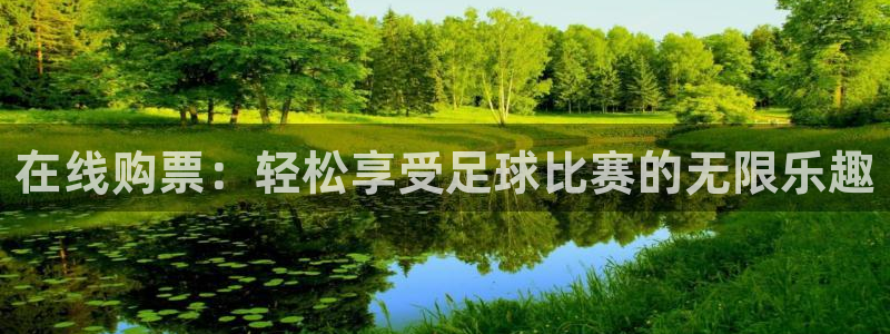 在线购票：轻松享受足球比赛的无限乐趣