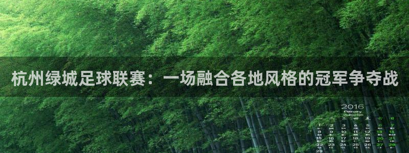 杭州绿城足球联赛：一场融合各地风格的