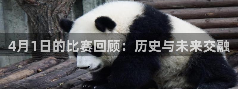 4月1日的比赛回顾：历史与未来交融