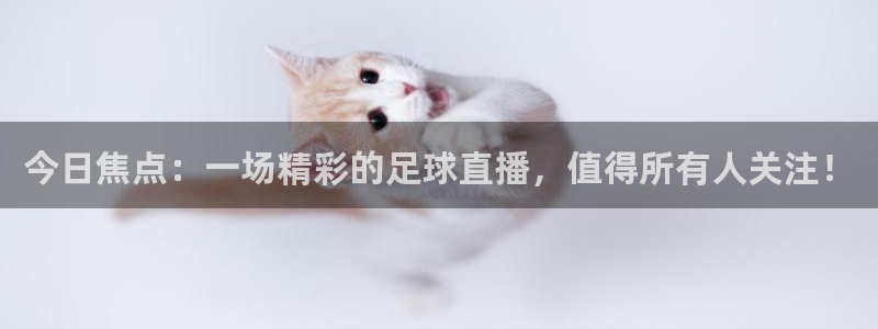 今日焦点：一场精彩的足球直播，值得所有人关注！