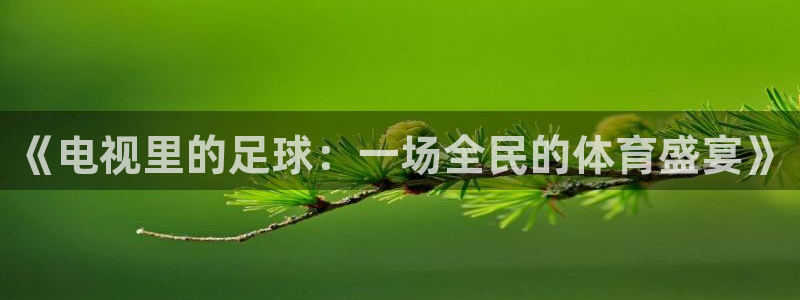 《电视里的足球：一场全民的体育盛宴》