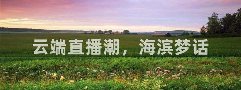 nba直播免费直播小九：云端直播潮，海滨梦话