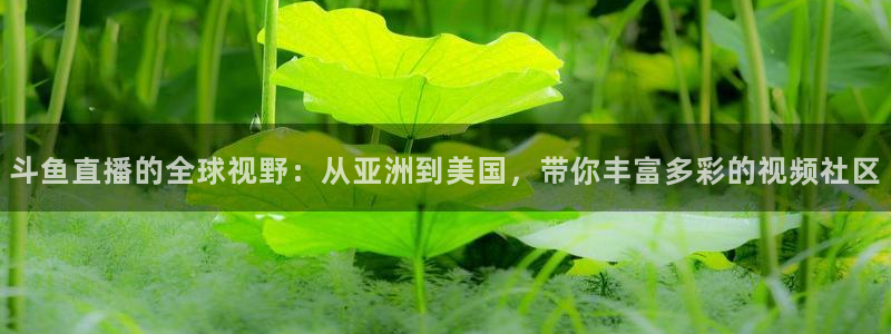 小九篮球直播：斗鱼直播的全球视野：从亚洲到美国，带你丰富多彩的视频社区