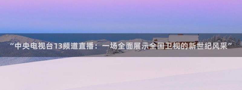 nba直播小九：“中央电视台13频道直播：一场全面展示全国卫视的新世纪风采”