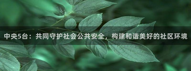 小九足球直播在线观看：中央5台：共同守护社会公共安全，构建和谐美好的社区环境