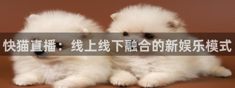 小九足球直播在线观看高清：快猫直播：线上线下融合的新娱乐模式
