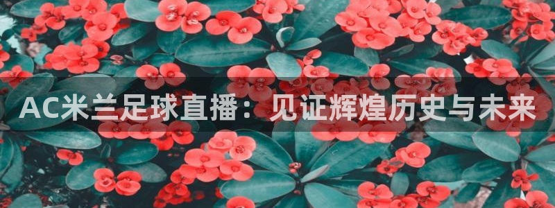 小九直播：AC米兰足球直播：见证辉煌历史与未来