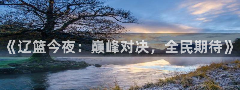 小九直播免费足球观看：《辽篮今夜：巅峰对决，全民期待》